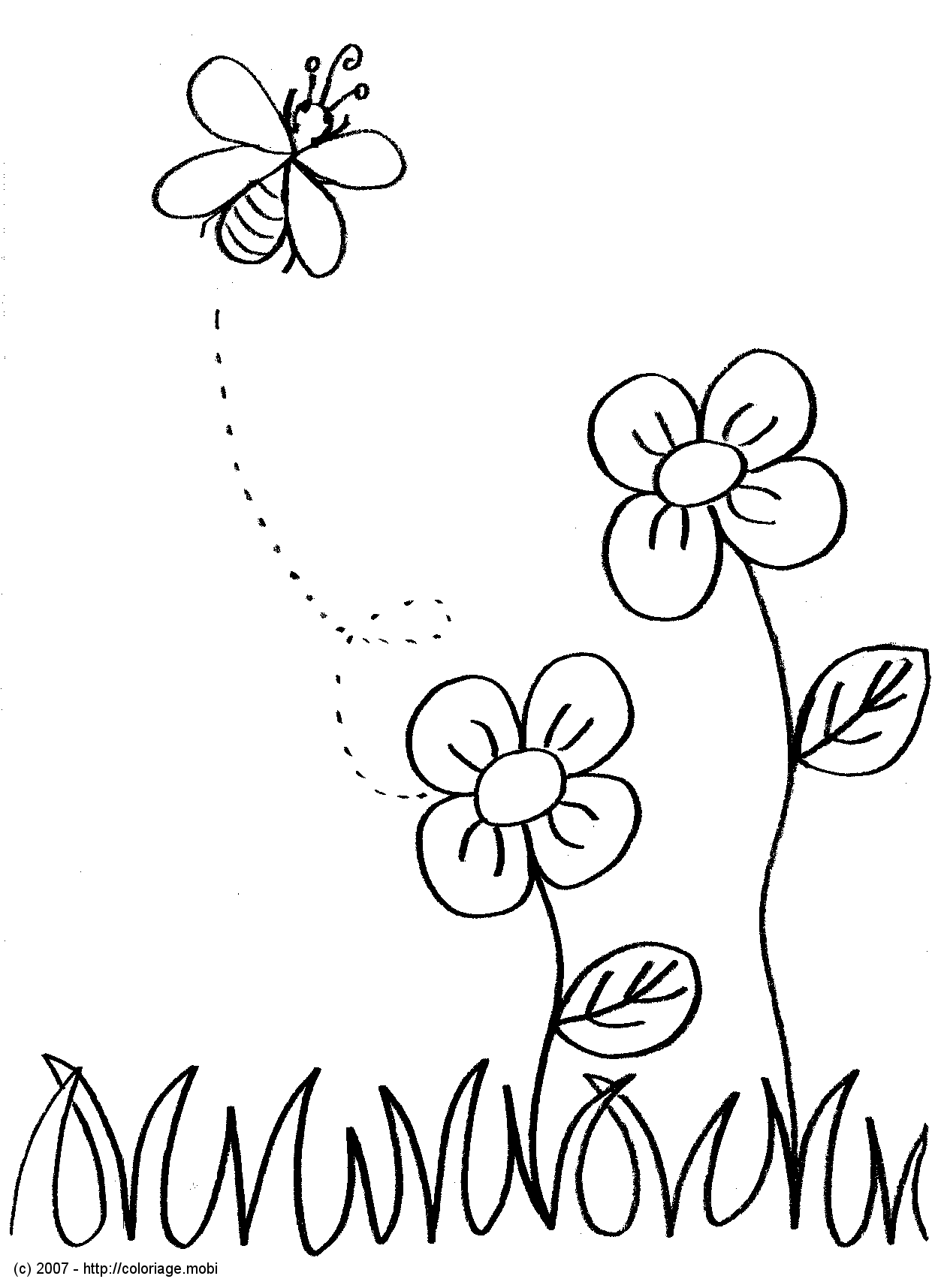 Dessins   imprimer Abeille Gratuit   colorier Voir le dessin