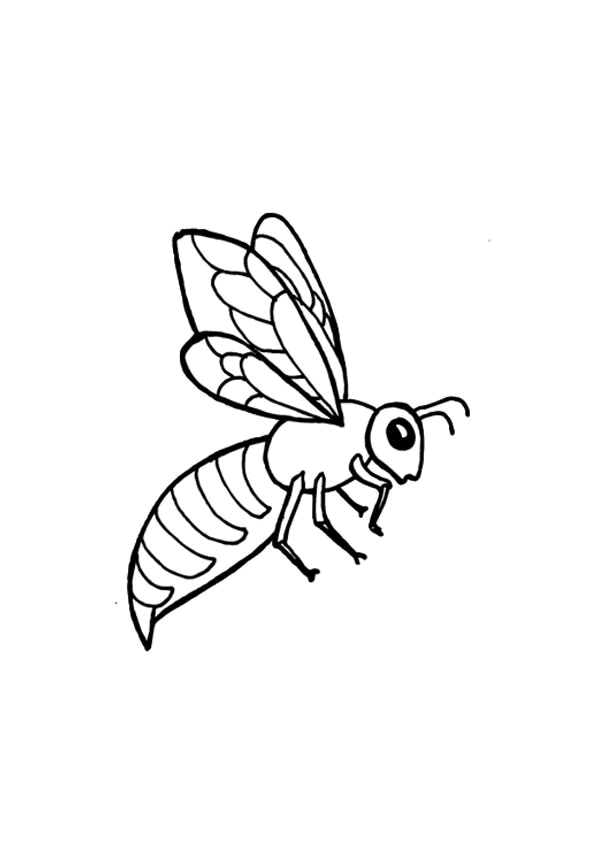 126 Dessins De Coloriage Abeille A Imprimer