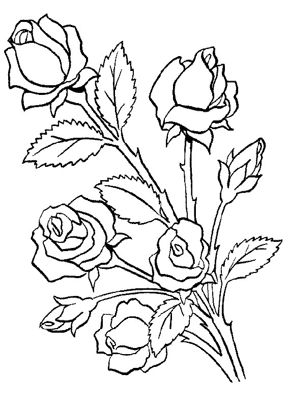 coloriage adulte en ligne