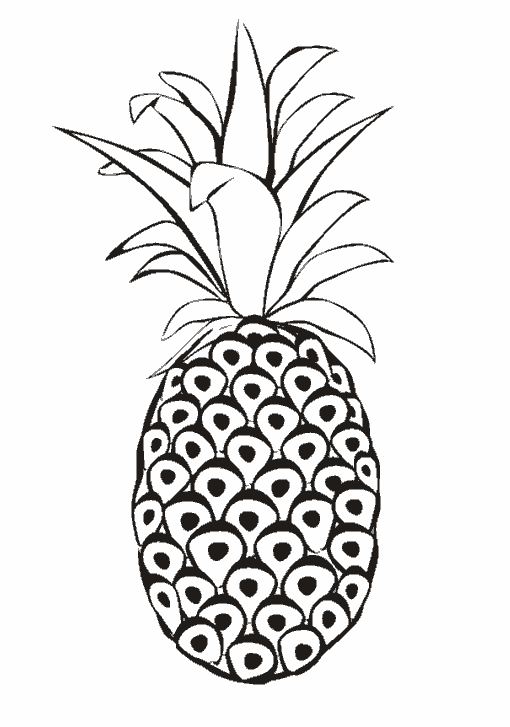 coloriage ananas