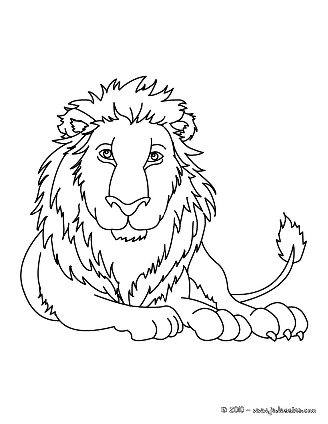 coloriage animaux dafrique