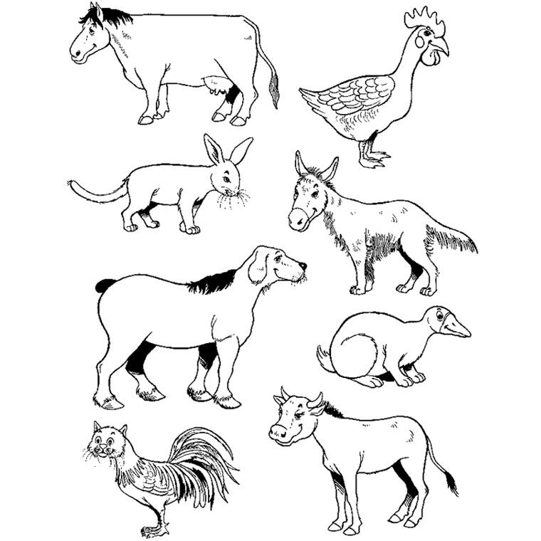 coloriage animaux de la ferme a imprimer gratuit