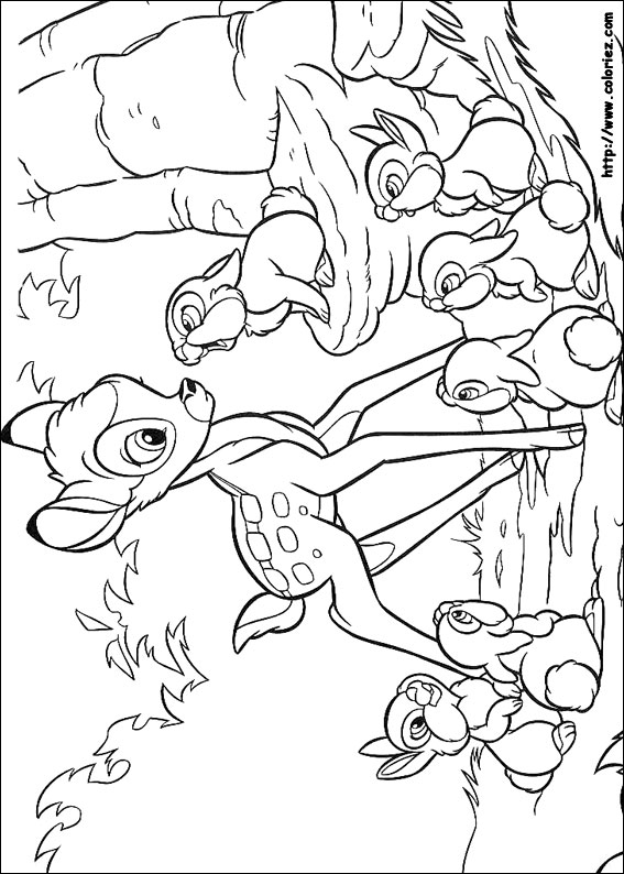 coloriage animaux de la foret