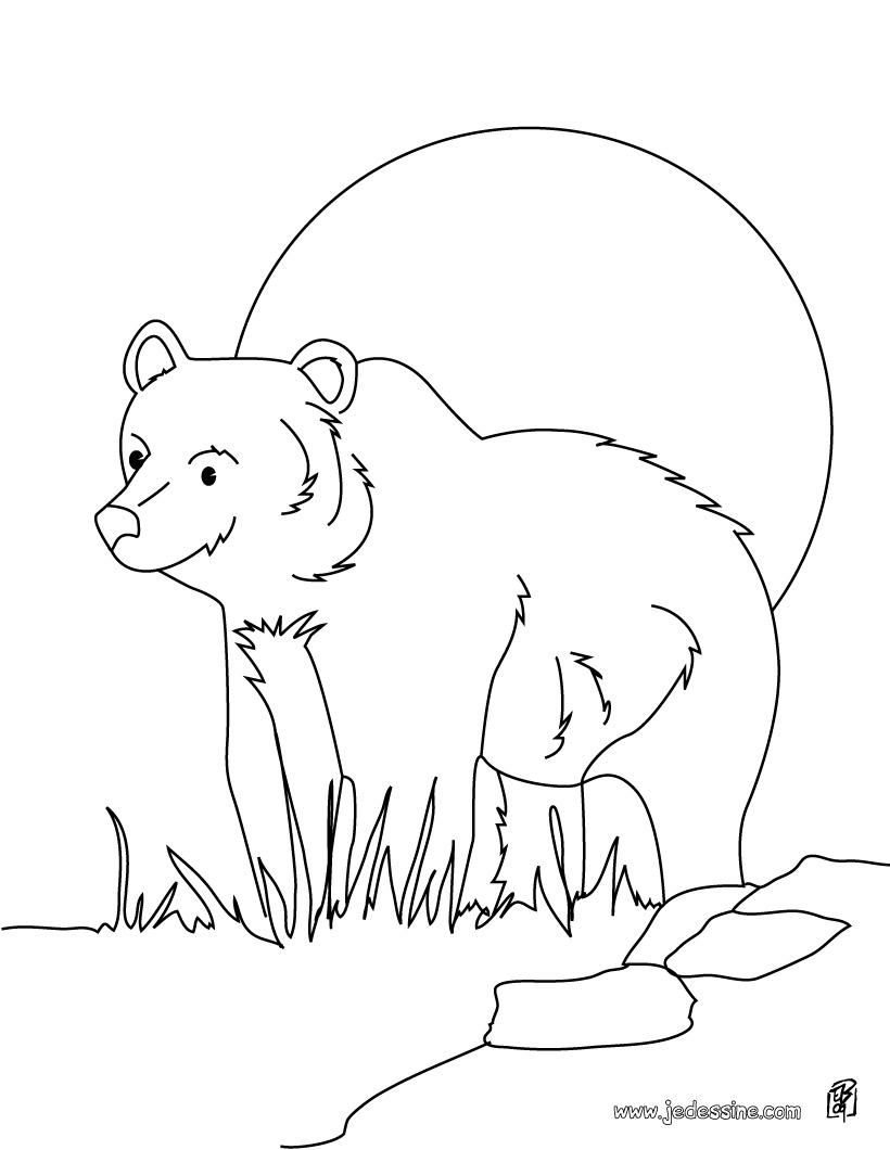 coloriage animaux de la foret