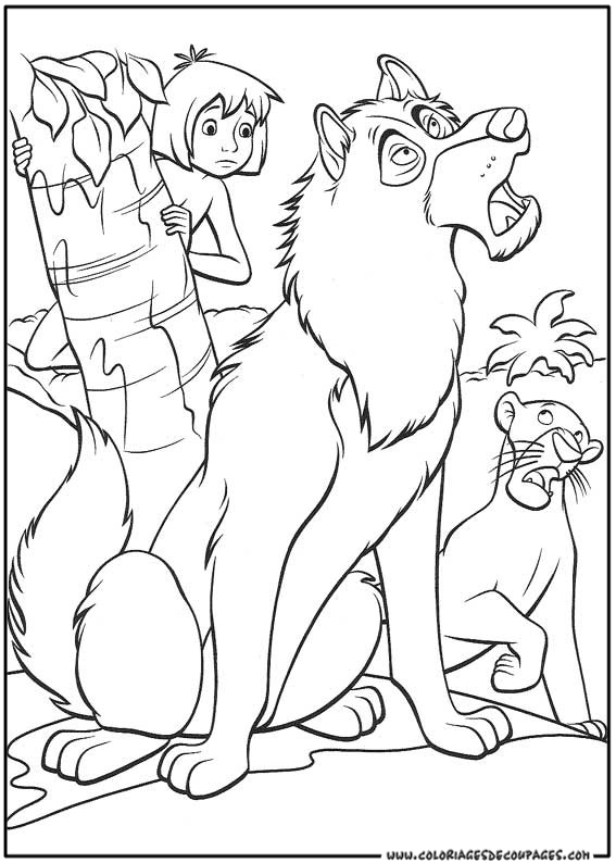 coloriage animaux de la jungle