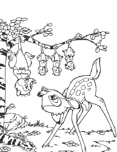 coloriage animaux de la savane