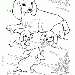 coloriage animaux de la ferme en ligne