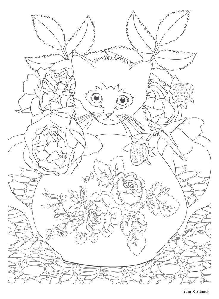 coloriage anti stress de chat