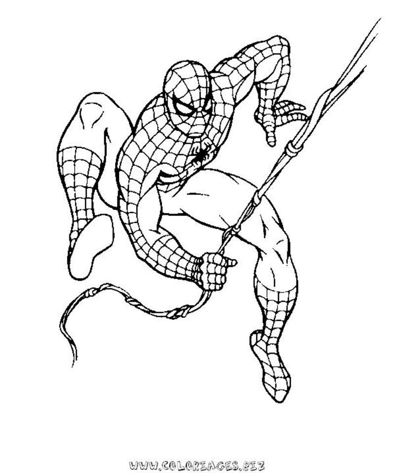 coloriage araignee spiderman