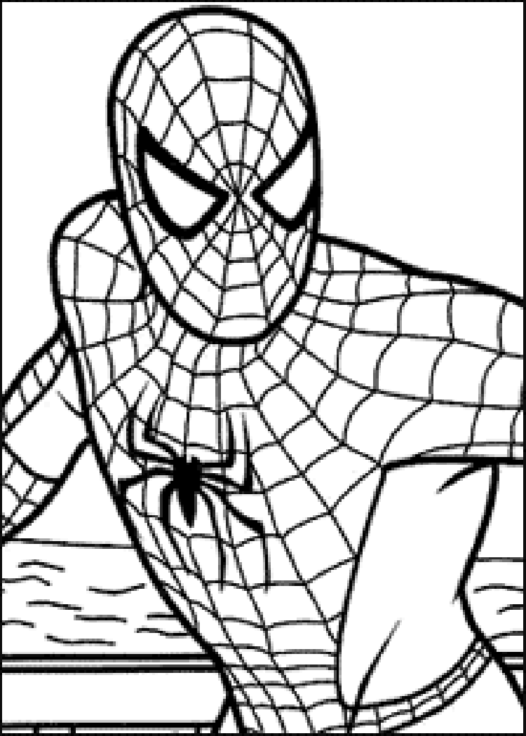 coloriage araignee spiderman