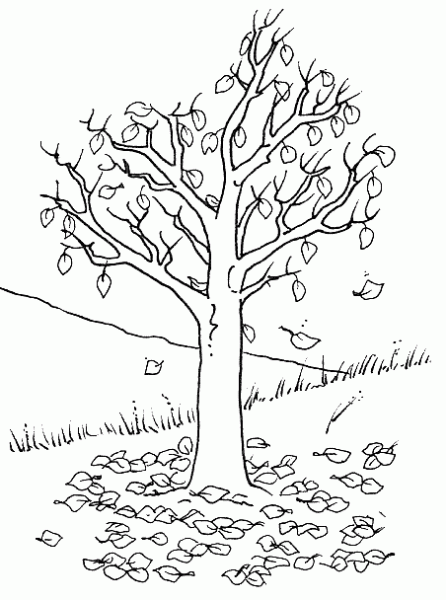 coloriage arbre automne imprimer