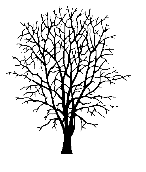 coloriage silhouette arbre