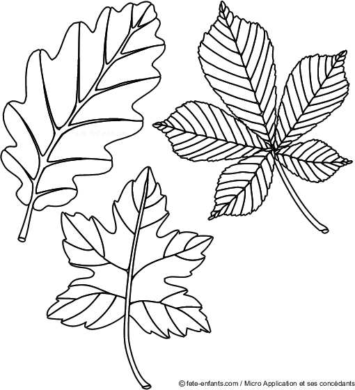 coloriage automne gratuit