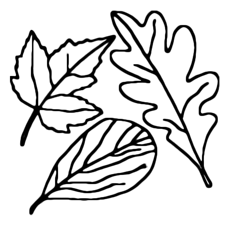 coloriage automne gratuit