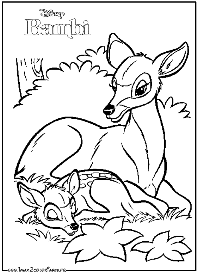 coloriage bambi en ligne