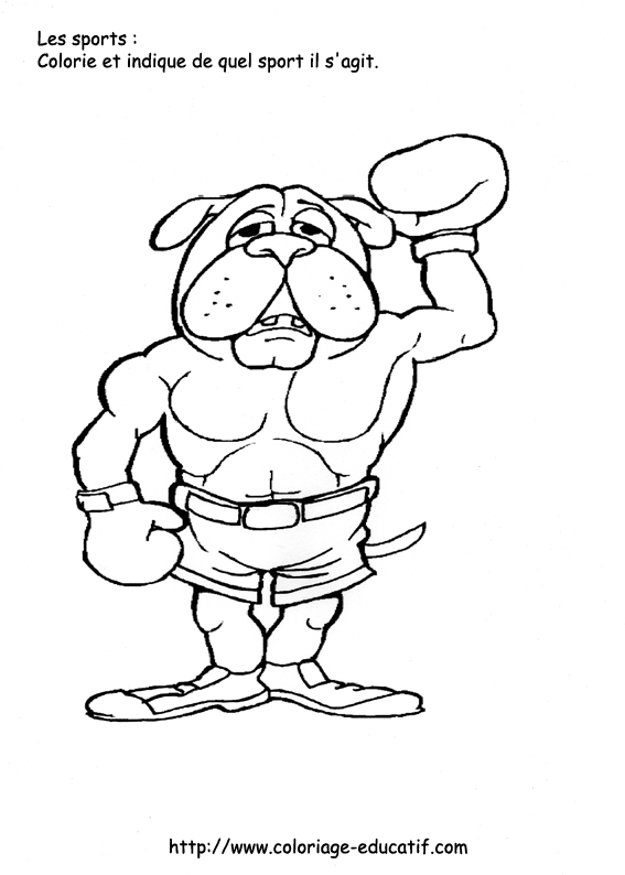 dessin a colorier ring de boxe