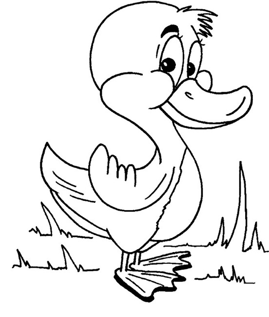 20 dessins de coloriage Canard Maternelle   imprimer