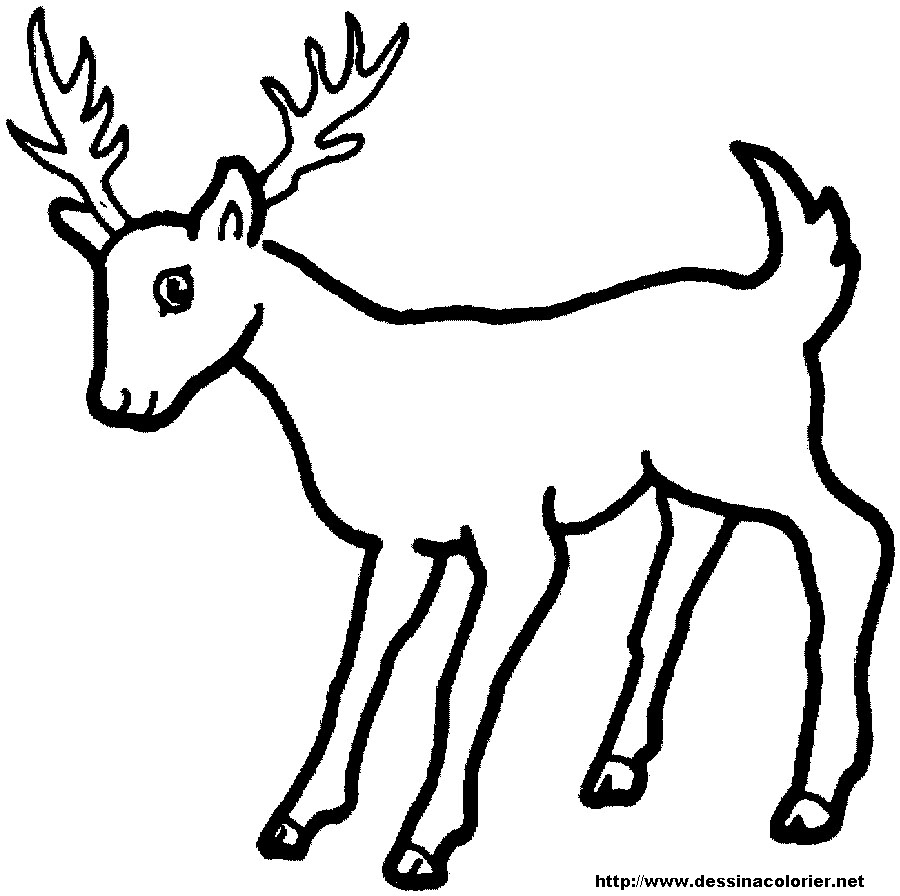 coloriage cerf biche faon