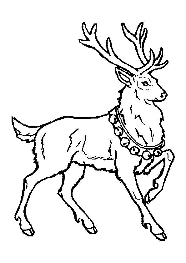 19 dessins de coloriage Cerf De Noel à imprimer