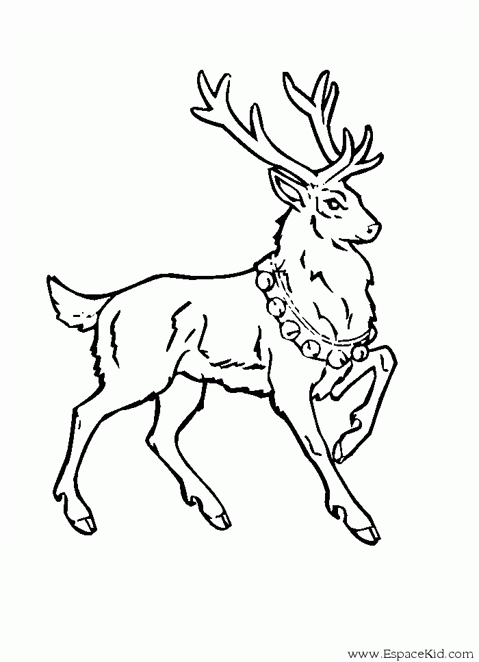 19 dessins de coloriage Cerf De Noel à imprimer