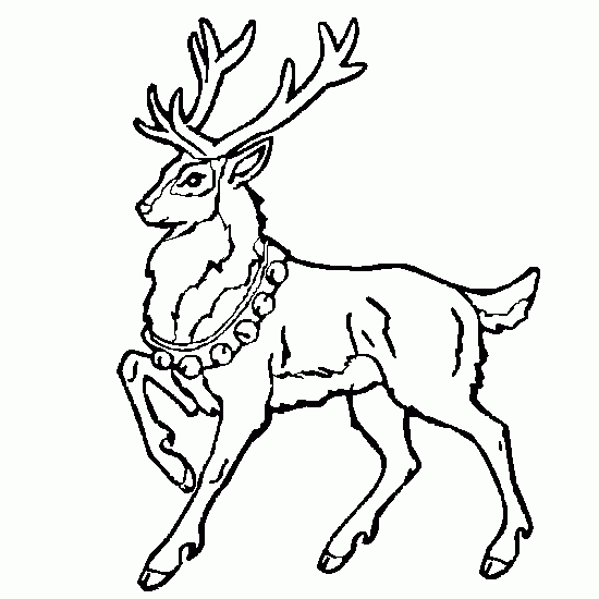 coloriage cerf de noel