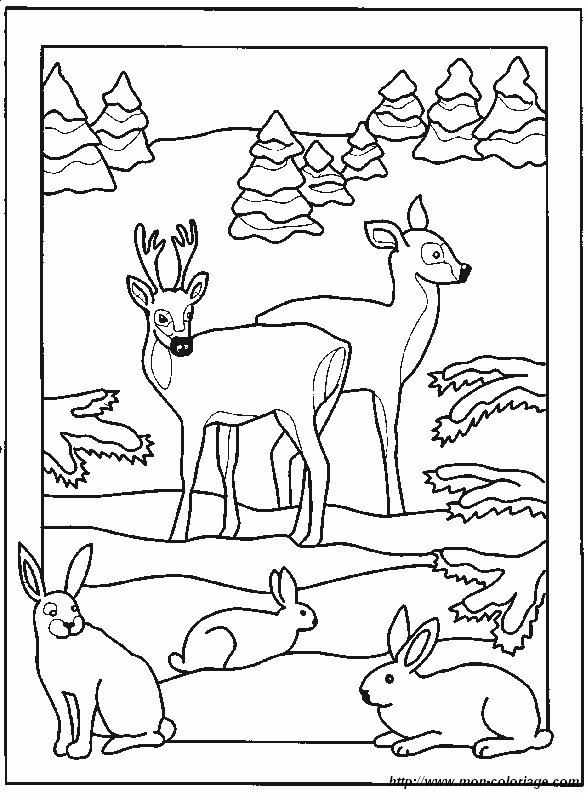 coloriage cerf et biche