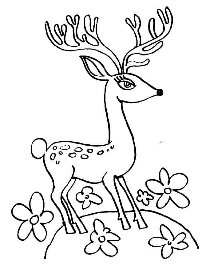 coloriage tete de cerf