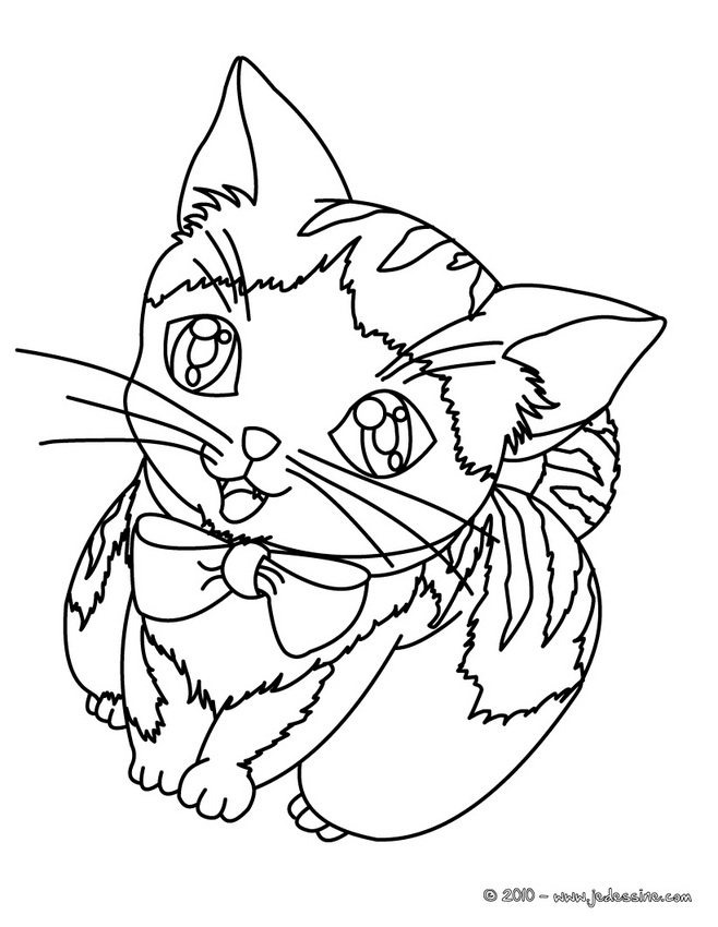 coloriage chat en ligne