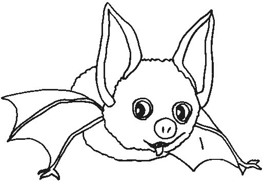 coloriage chauve souris halloween