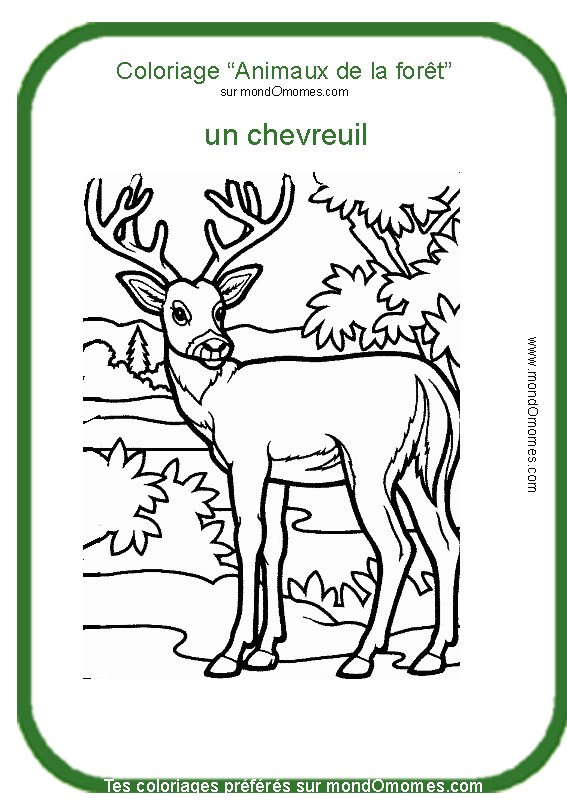 coloriage  dessiner chevreuil gratuit