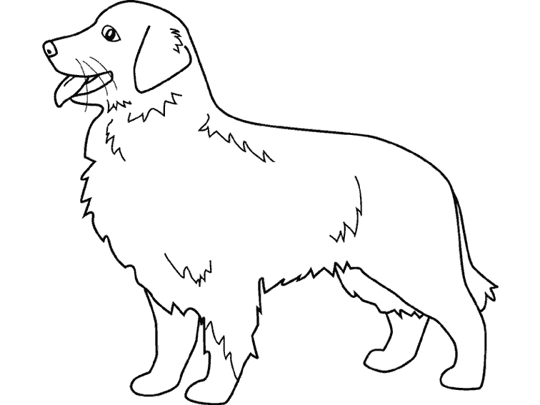 coloriage chien de chasse