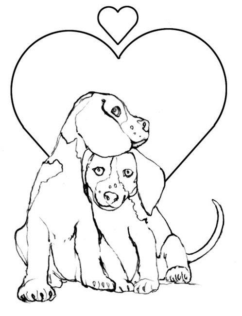 coloriage chien de chasse