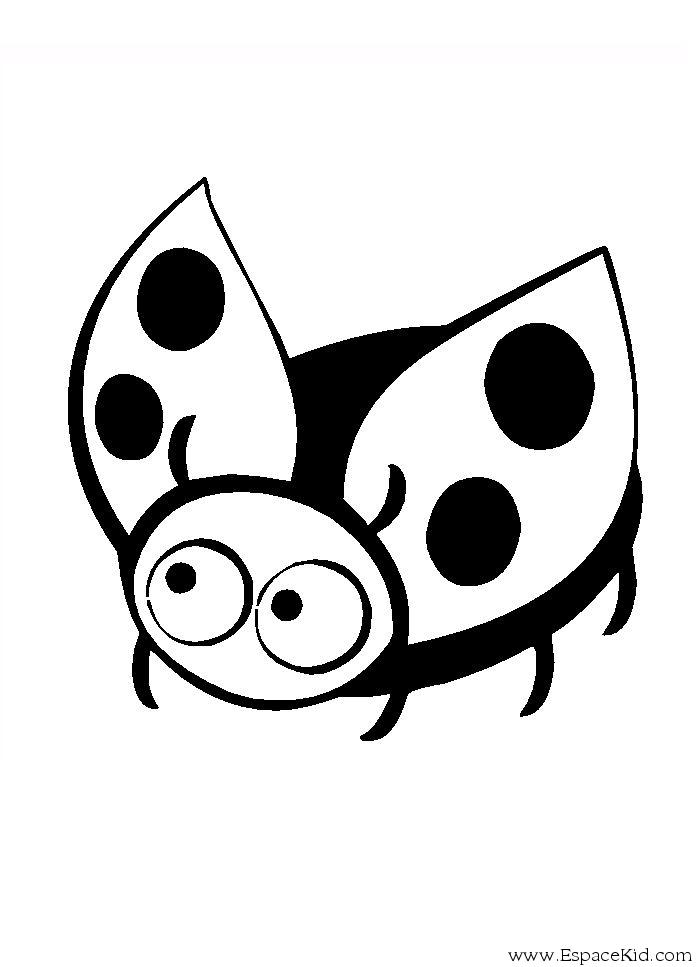 coloriage coccinelle