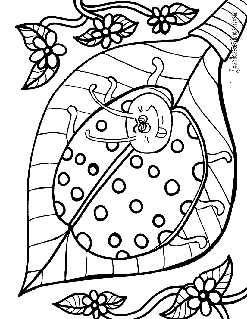 Dessin De Hanneton Coloriage  30000 ++ collections de pages à colorier