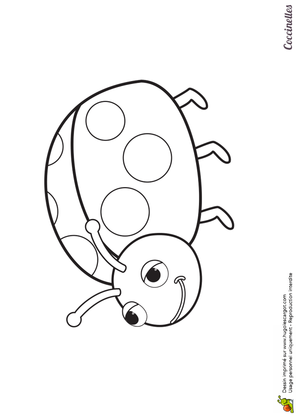 coloriage coccinelle hugo lescargot