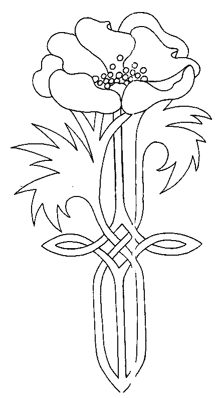 coloriage coquelicot imprimer gratuit