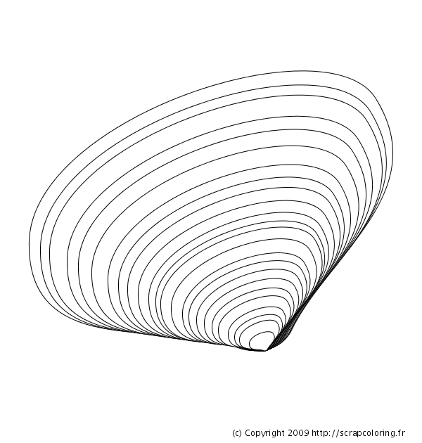 coloriage coquillage 18189