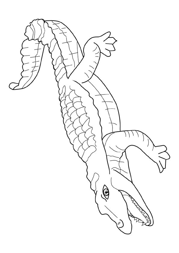 coloriage crocodile gratuit