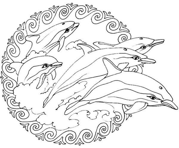 coloriage dauphin mandala