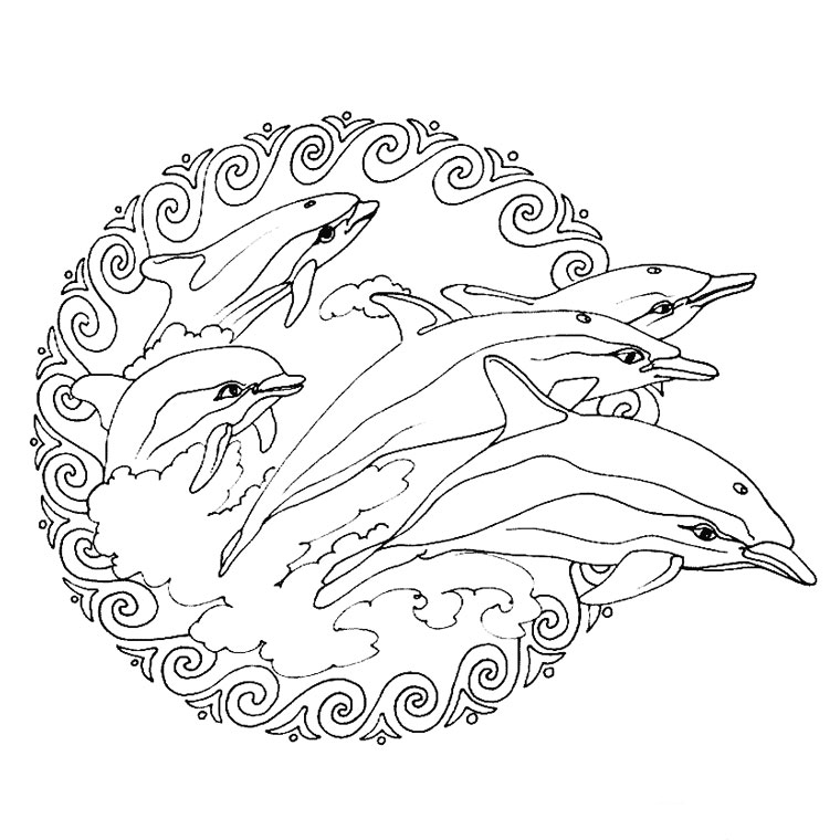 coloriage dauphin mandala