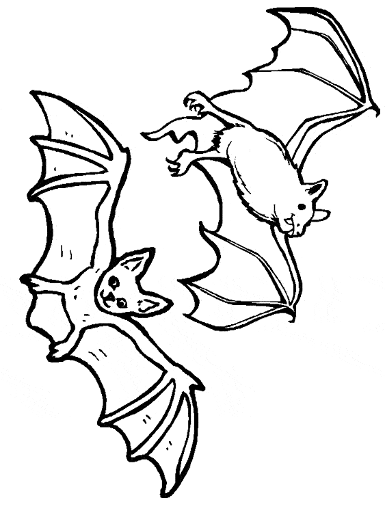 coloriage de chauve souris pour halloween