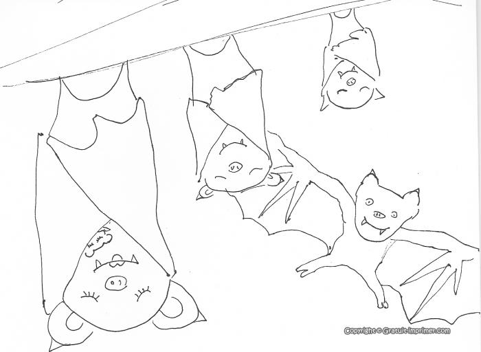 coloriage de chauve souris pour halloween