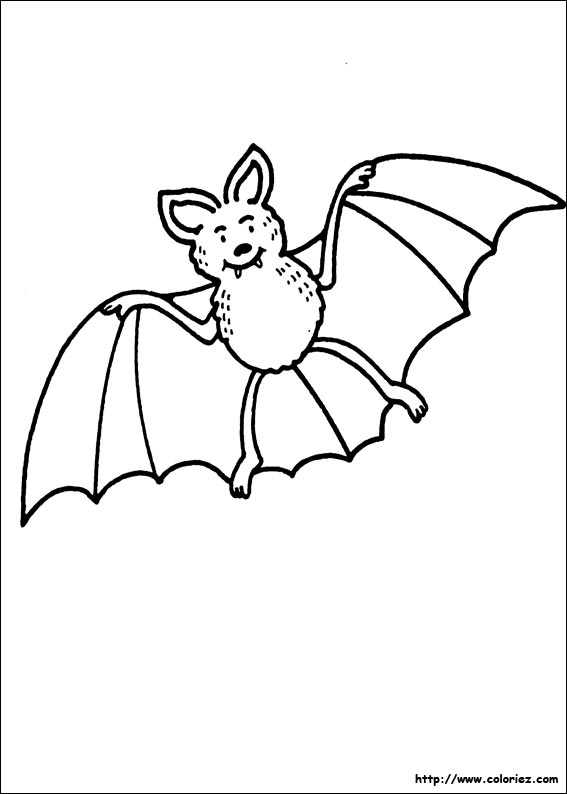 coloriage de chauve souris pour halloween