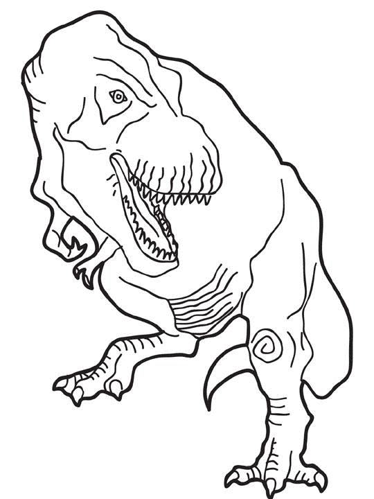 coloriage dinosaure tyrex