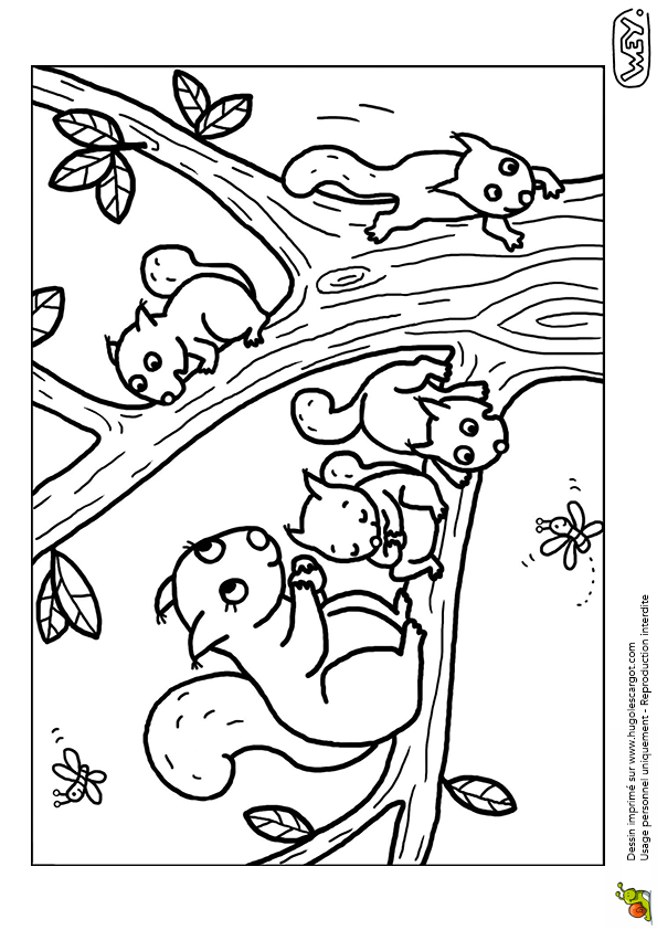 coloriage bebe automne