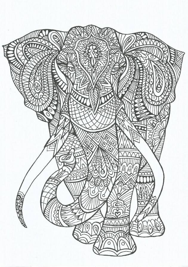 coloriage elephant adulte