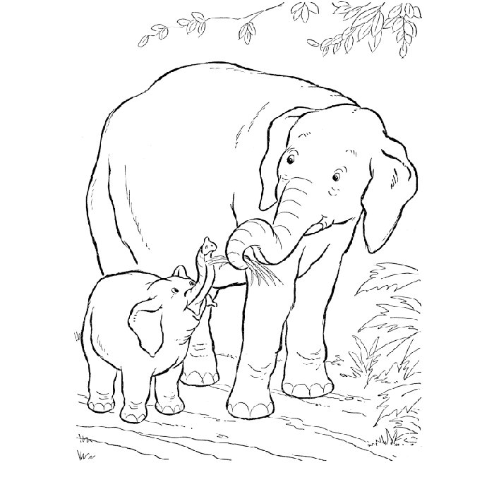 coloriage elephant dafrique