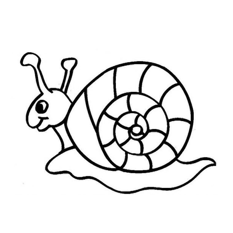 coloriage escargot sous la pluie