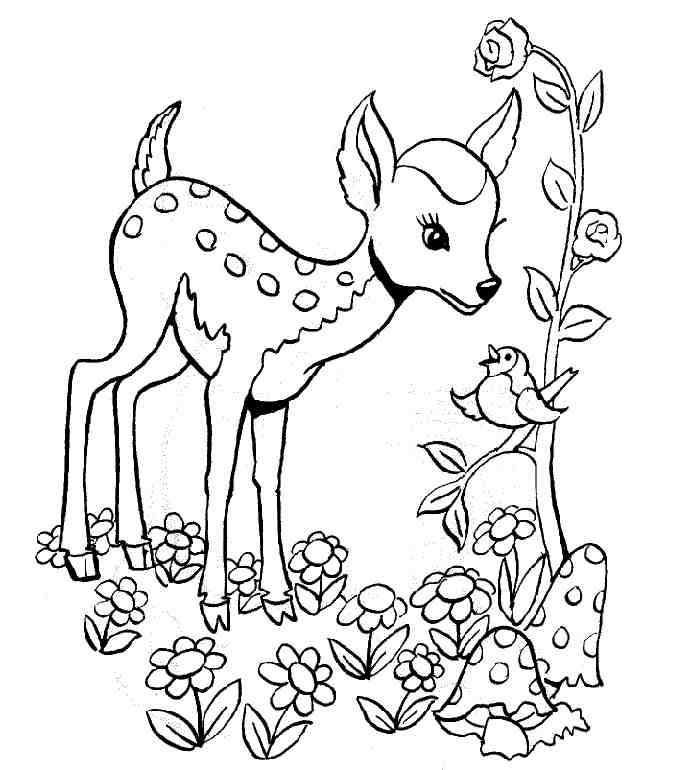 coloriage faon biche