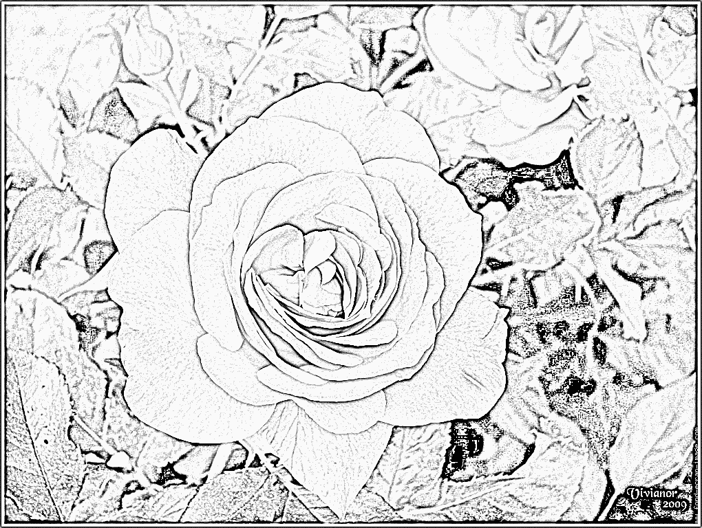 coloriage fleur coeur